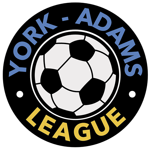 BigLeagues.Public.Models.League - Logo