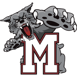 Mechanicsburg Logo