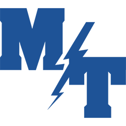 Manheim Township Logo