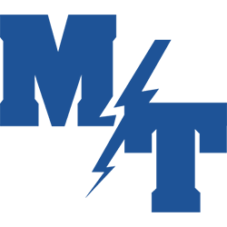 Manheim Township Logo