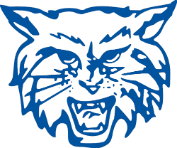 Dallastown Logo